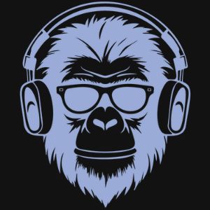 GAIM.AI Desktop App