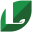 Leaves – Life Stories