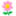 51788鲜花网全国鲜花速递