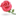 时尚鲜花网全国鲜花订购平台