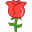 上海花之乐上海鲜花速递